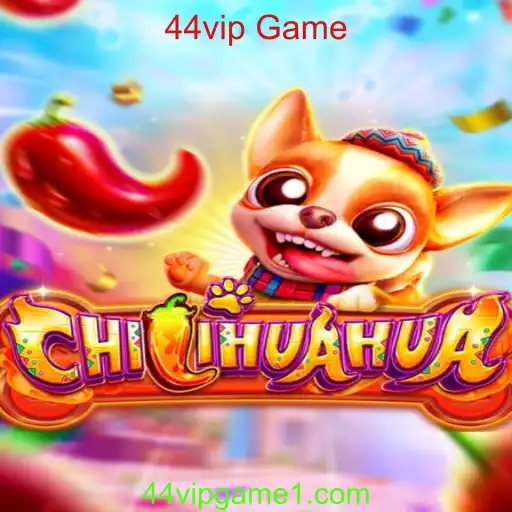 Descubra Tudo Sobre o Inovador Jogo CHILIHUAHUA